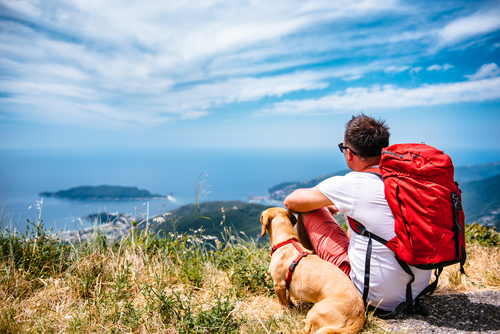 backpacker with dog