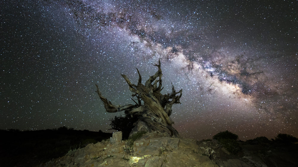 Great Basin National Park sTARS