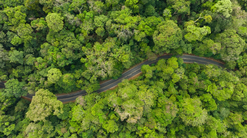 Renting Camper Vans for Nature